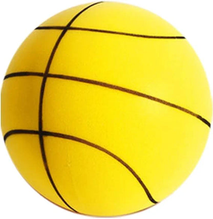 BIQA Silent Basketball