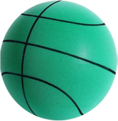 BIQA Silent Basketball